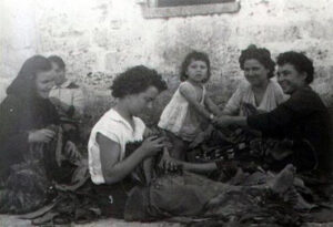 raccolta-tabacco-300x205 Siti amici con articoli