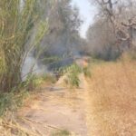 IMG_20210708_125453