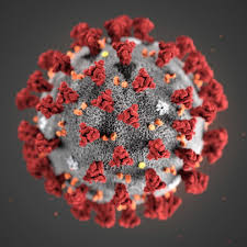 coronavirus-2